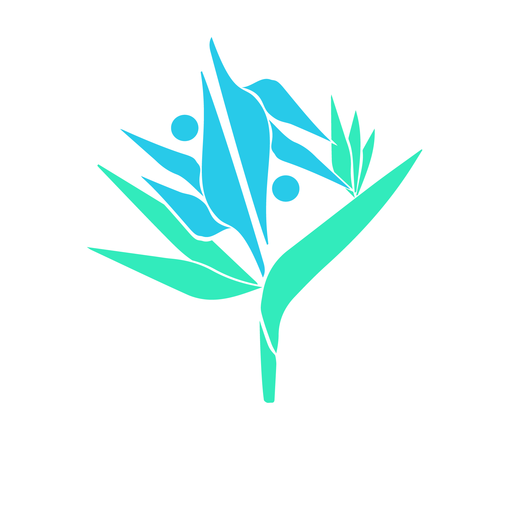 CLC's Gymnastics Academy