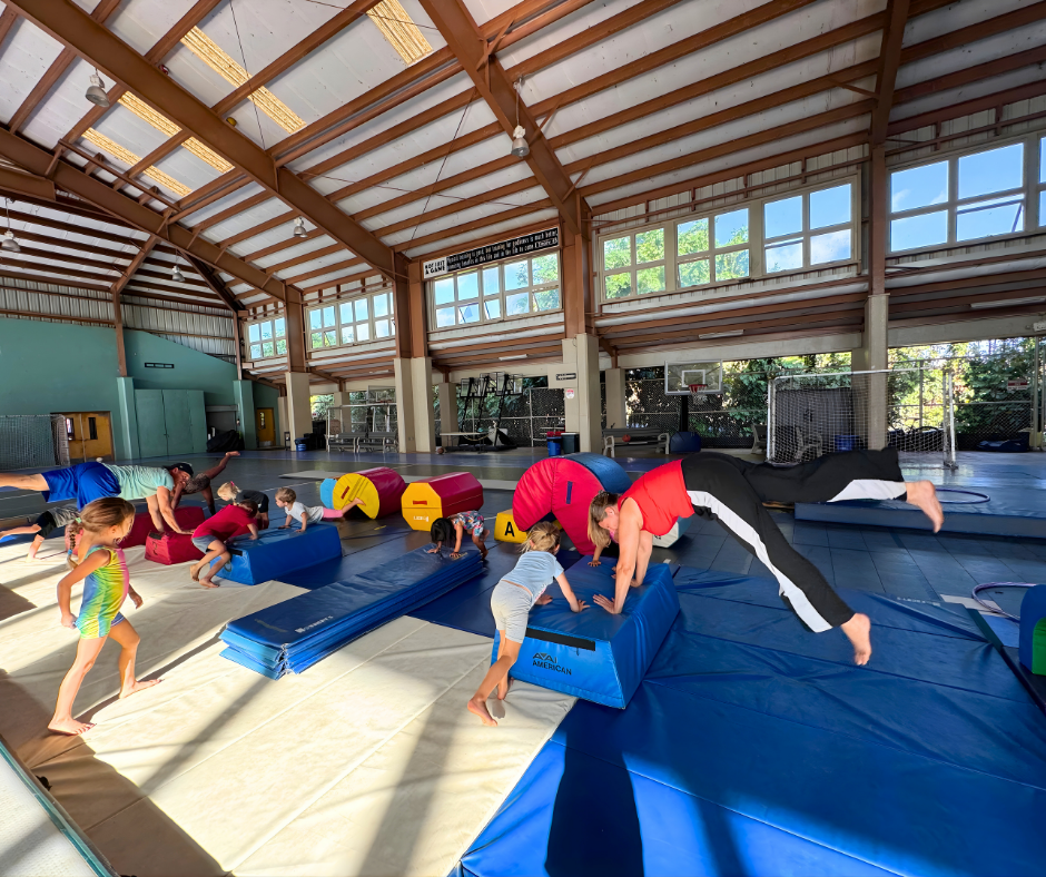 Children practicing gymnastics in spacious facility
